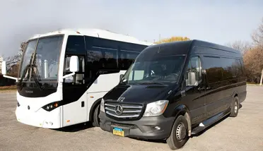 Sprinter and bus