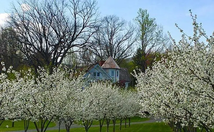 Washington Virginia