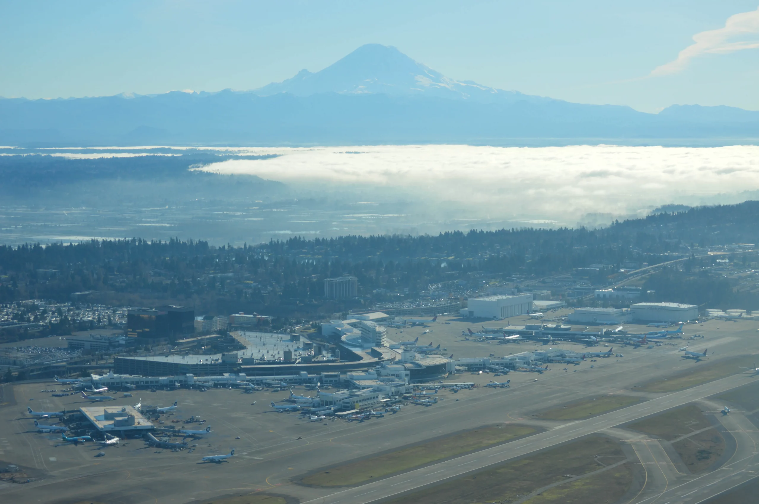 Seattle Tacoma International Airport